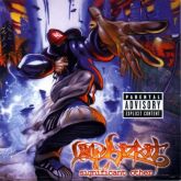 Limp Bizkit - Significant Other